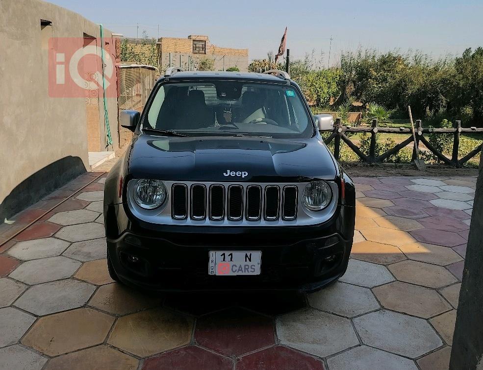 جيب رينيجيد